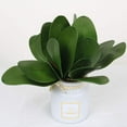 thumbnail image 3 of Artificial Phalaenopsis Orchids Leaves inches Green Faux Orchids Leaf (0 Pcs), 3 of 5