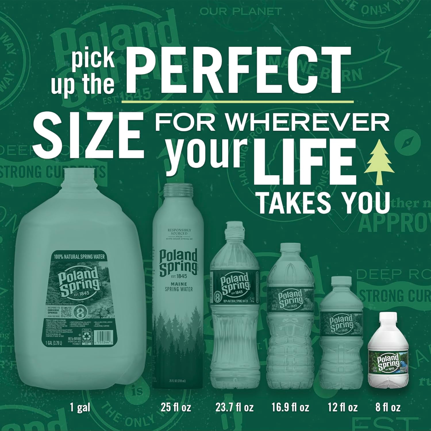 Poland Spring Water, 48 Count