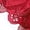 Red, variant on Lingerie for Women Crochet Lace Lace Up Panty Hollow Out Underwear Babydoll Breathable Panties