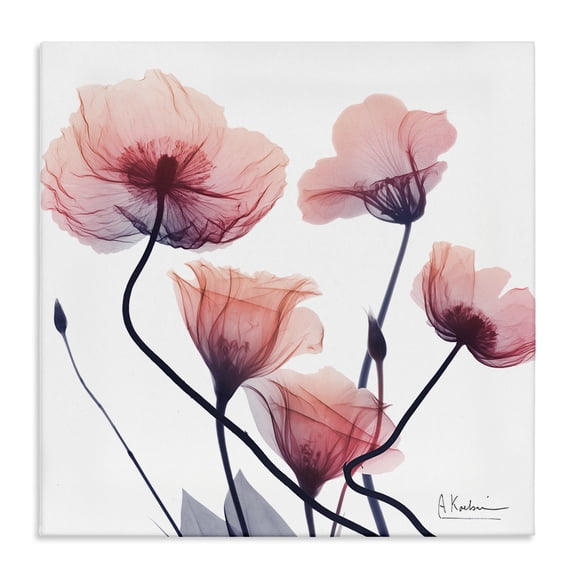Stupell Industries Modern Pink Chic Simple Flowers Canvas Art, 17 x 17, by Albert Koetsier