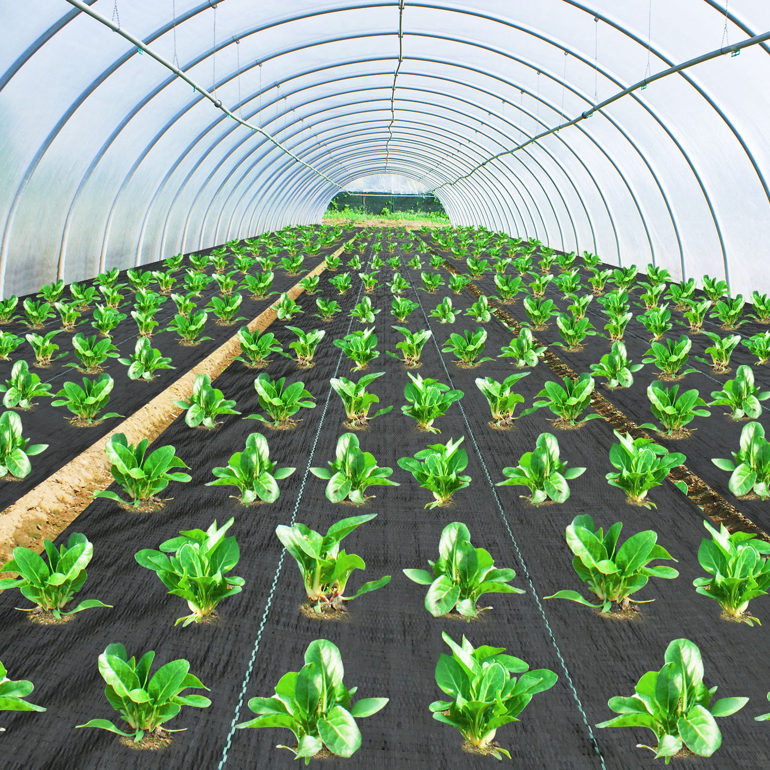 3FT x 300FT Weed Barrier Landscape Fabric, Heavy Duty Weed Blocker Gardening Mat, Garden Cloth for for Gardening Ground, Commercial Driveway, Farming