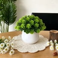 thumbnail image 2 of Artificial Green Plant,Simulation Potted Plant for Home Decor,Small Bonsai Ornament for Living Room, artificial Plant for Shelf and Porch, No Maintenance Decorative Foliage, 2 of 7