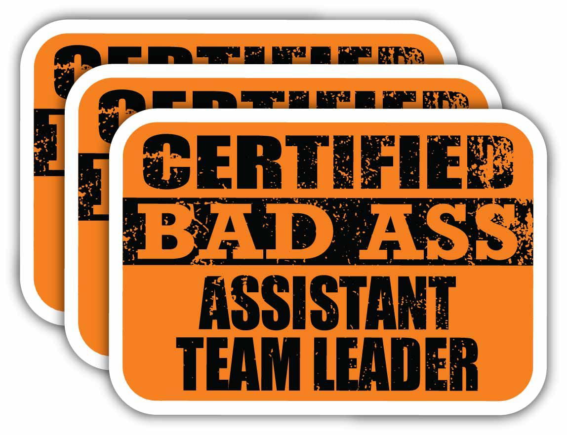 x3) Certiefied Bad Ass Assistant Team Leader Stickers | Cool Funny  Occupation Job Career Gift Idea | 3M Sticker Vinyl Decal for Laptops, Hard  Hats, Windows, Cars 