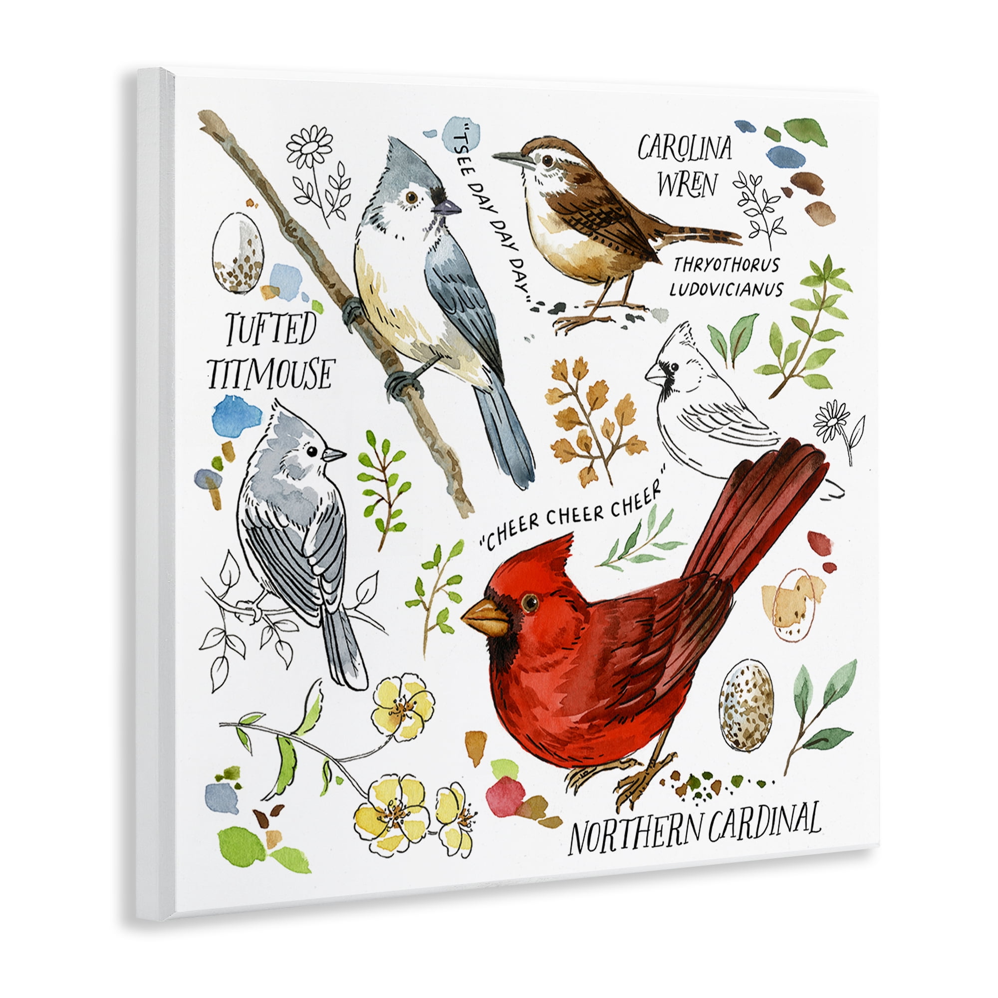 Stupell Industries Bird Watching Chart Animals Painting Unframed Art Print Wall Art, 12 x 12