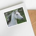 thumbnail image 2 of Sellos postales Caballos del Servicio Postal de los Estados Unidos 2024, 2 of 3