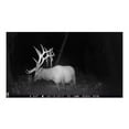 thumbnail image 6 of Browning Trail Cameras 16MP Strike Force Extreme Game Cam (2-Pack) w/Card Reader, 6 of 7