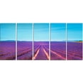 thumbnail image 2 of Lavender Flowers and Clear Sky - Oversized Landscape Wall Art Print, 2 of 3