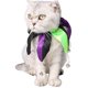 thumbnail image 2 of 2 piezas delicadas Hermosa mascota de Halloween Collar de cuello para PET Party Size S (Negro + Green + Purple), 2 of 5