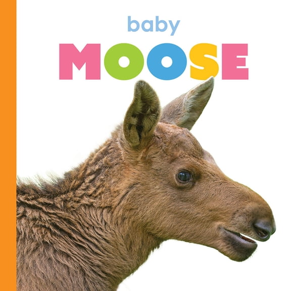 Starting Out Baby Moose, (Paperback)