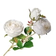 thumbnail image 4 of YAOMOBB Artificial Rose Sealed Food Freezer Set for Leak proof Storage Keep Your Food Fresh, 4 of 6