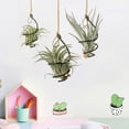 thumbnail image 4 of 24 colgadores para plantas de aire: Perchero metálico resistente para exhibir plantas en casa - Ganchos geométricos para colgar en el techo - Colgadores espirales para plantas de aire, 4 of 4