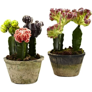Nearly Natural 10in. Colorful Artificial Cactus Plant Gardens (Set of 2), Assorted