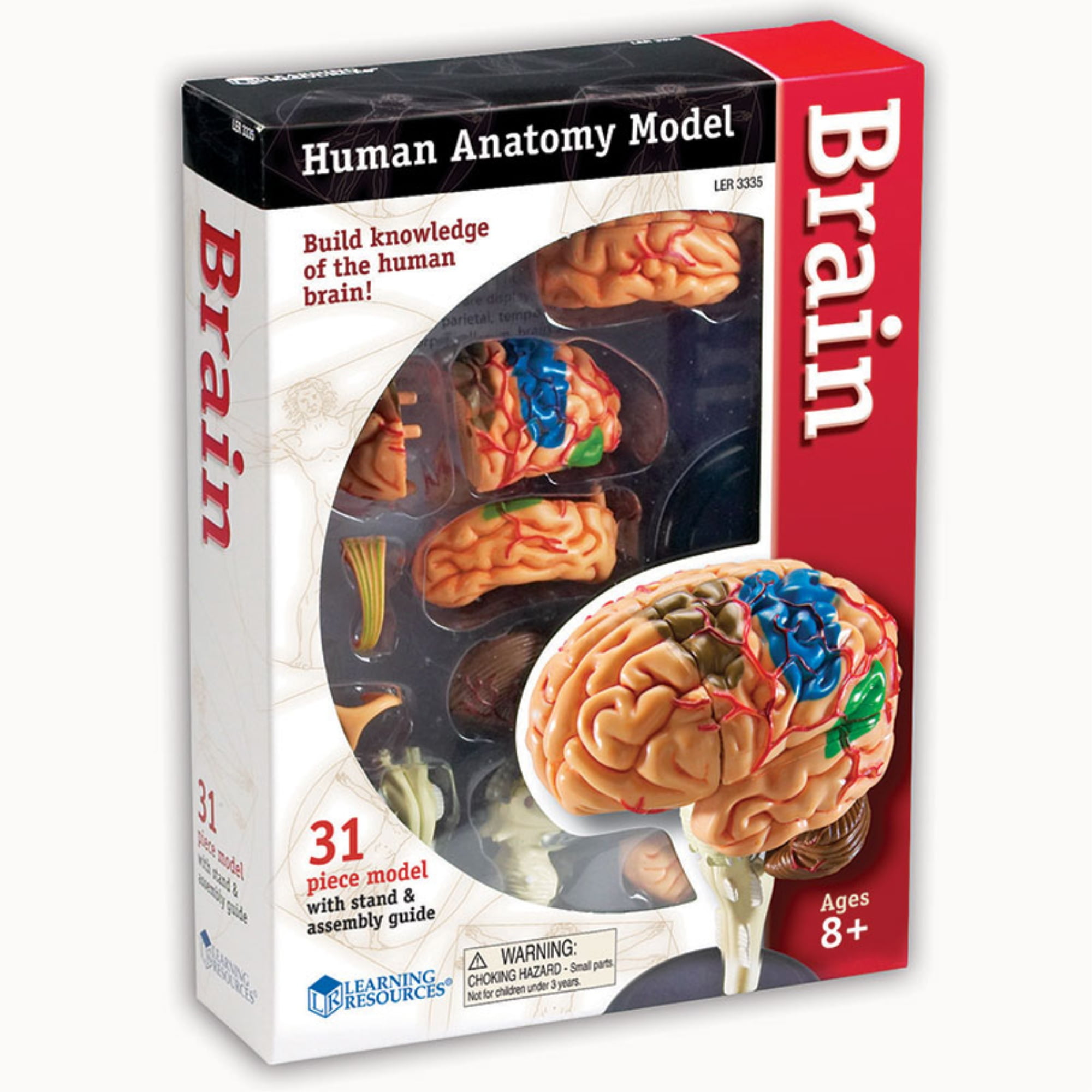 essential anatomy 3 amazon essential anatomy 3 amazon