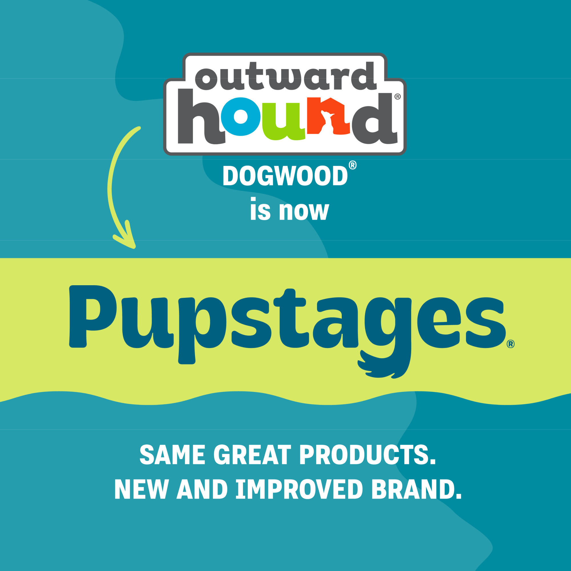 Petstages Pupstages Super Dogwood Dog Chew, Large photo 3