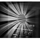 thumbnail image 4 of Altavoz Monitor Activo Pioneer DJ VM-70 de 6.5 pulgadas y 100 W, negro, 4 of 9