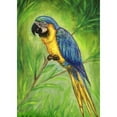 thumbnail image 3 of Betsy Drake TP032 24 x 30 in. Blue Macaw Outdoor Wall Hanging, 3 of 3