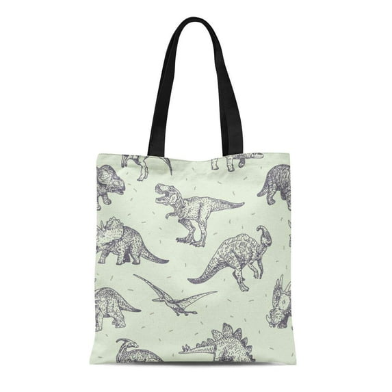 SIDONKU Canvas Tote Bag Pattern Dinosaurs Drawings Dino Doodle Paleontology Cute Cartoon Reusable Shoulder Grocery Shopping Bags Handbag