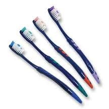 prepasted disposable toothbrush