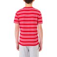 thumbnail image 5 of U.S. Polo Assn. Boys Short Sleeve Stripe T-Shirt, Sizes 4-18, 5 of 6