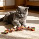 thumbnail image 5 of Cuerda de algodón para perros con nudos – Cuerda resistente para la dentición de cachorros, juguete interactivo de tira y afloja para la limpieza bucal y el alivio de las encías., 5 of 6