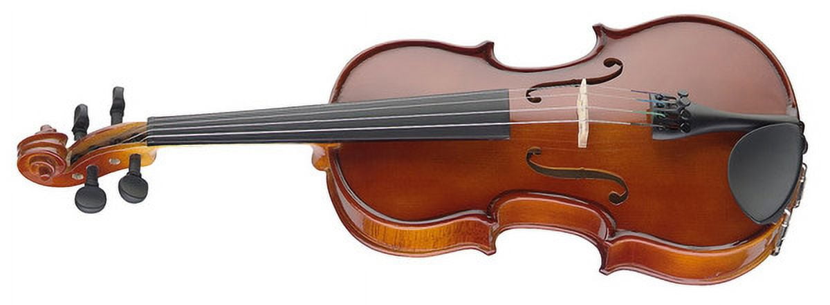Stagg Music VN-4/4 EF Violin