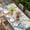 beige, variant on Blue Coastal Table Cloths for 8 Foot Rectangle Tables, Summer Beach Starfish Weeping Eucalyptus Wooden Patio Waterproof Elastic Fitted Tablecloths, Washable Rectangular Table Cover for Camping