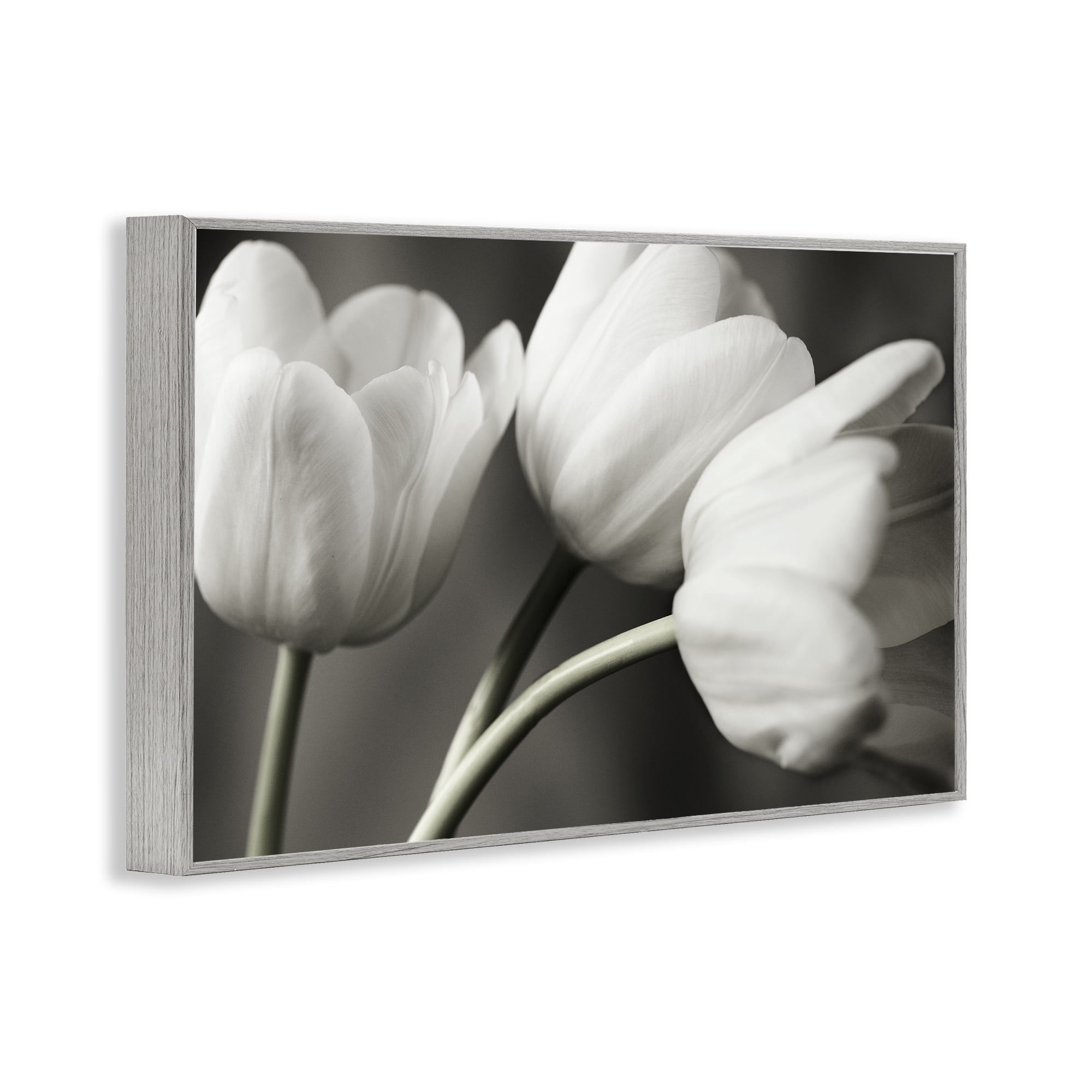 Stupell Industries Row Of Monochrome Tulips Gray Framed Giclee Art, design by Tom Quartermaine