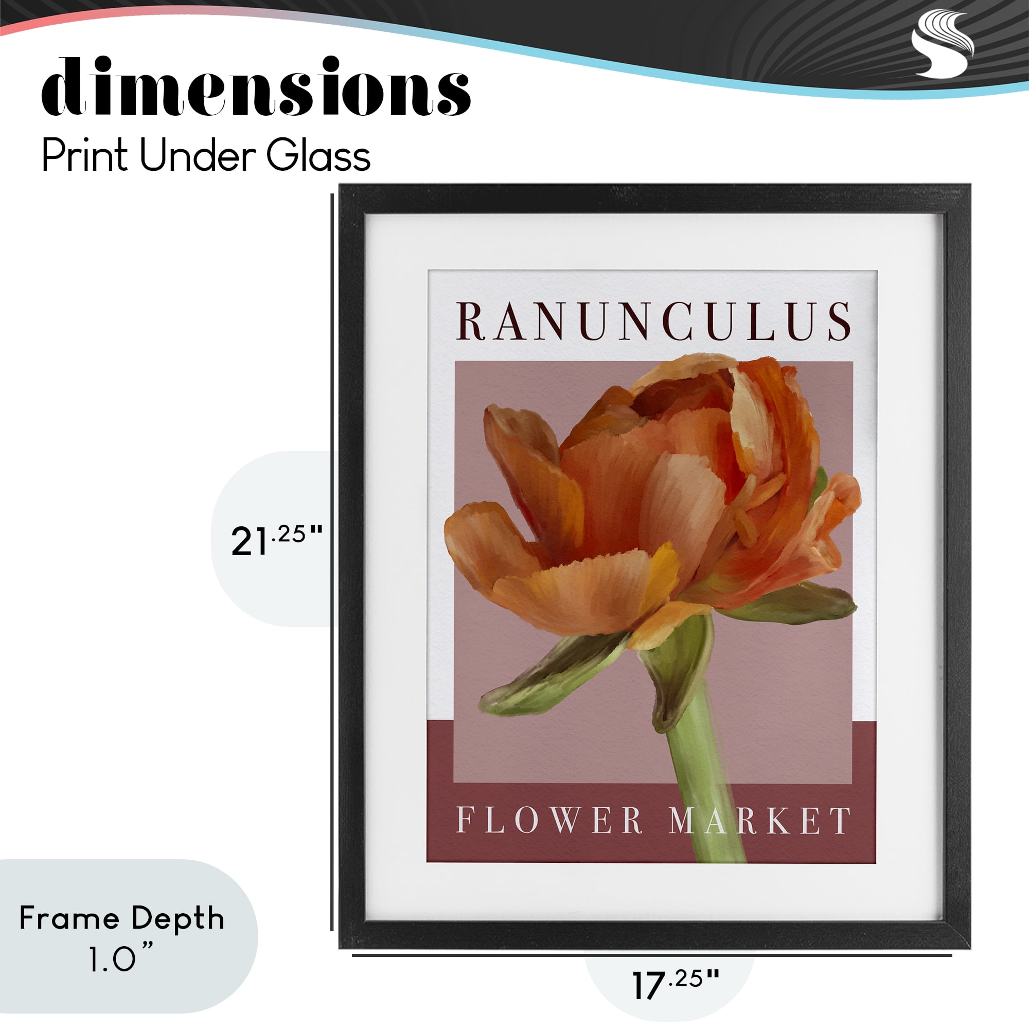 Stupell Industries Ranunculus Flower Market Black Framed Print Under Glass, design by Jennifer Stith