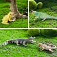 thumbnail image 6 of Toymany 12PCS Reptile Animal Figurine Toys Set，Cold Blooded Amphibians Desert Animal Figures Set with Komodo Dragon Lizard Snake Chameleon Toy Birthday Gift Party Favor for Kids Toddlers, 6 of 8
