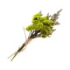 thumbnail image 5 of Inteprter Elegancia atemporal en arreglos de flores y hojas secas Ramo de flores secas naturales ecológico Type3 NO3, 5 of 6