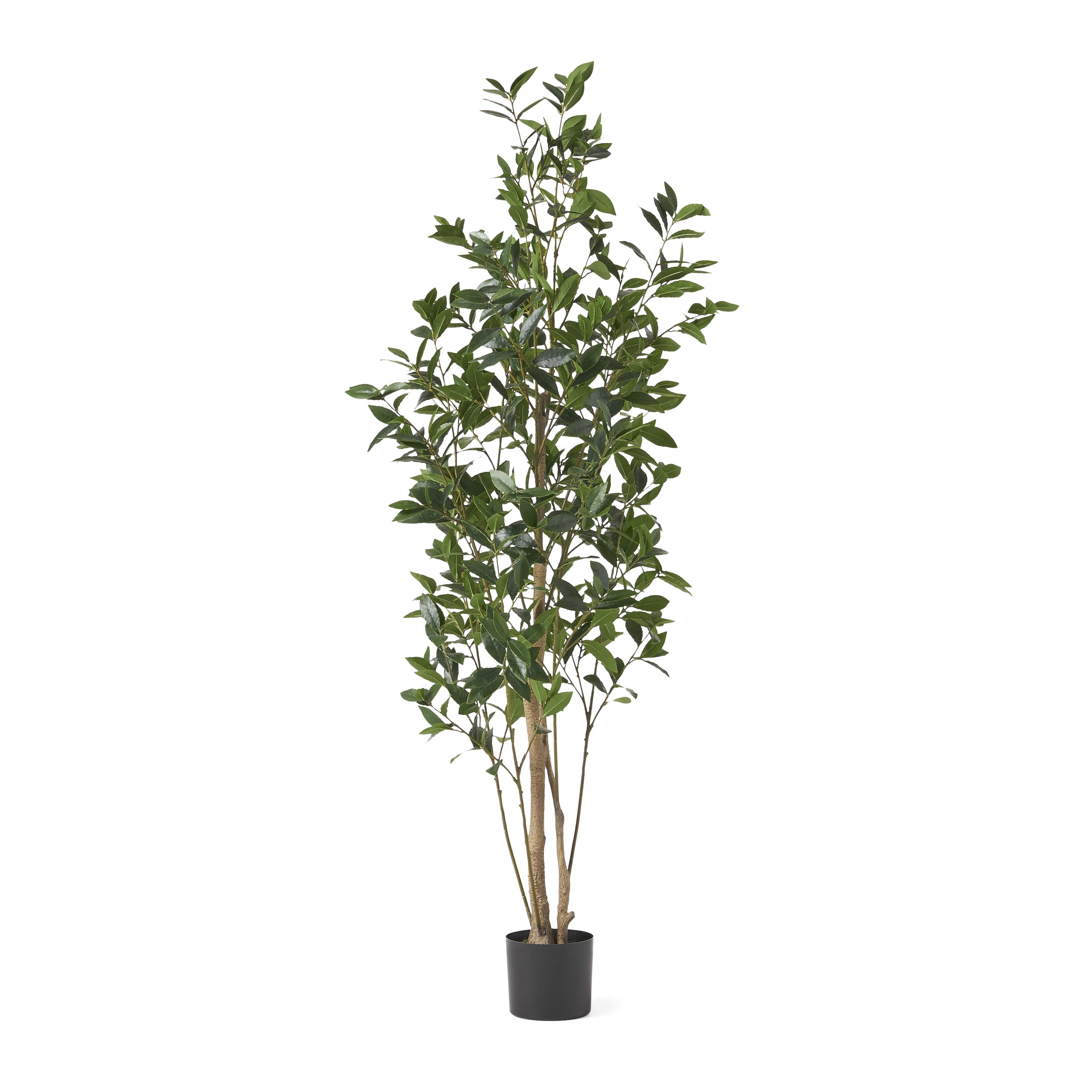 Atoka 6' x 2.5' Artificial Laurel Tree, Green