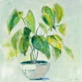 thumbnail image 3 of Schlabach, Sue 20x20 Black Modern Framed Museum Art Print Titled - Indoor Happiness Neutral, 3 of 5