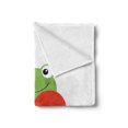 thumbnail image 2 of Love Soft Flannel Fleece Throw Blanket, Cartoon Frog Holding Giant Heart Adoration Theme Funny Character, Cozy Plush for Indoor and Outdoor Use, 50" x 70", Lime Green Vermilion, by Ambesonne, 2 of 5