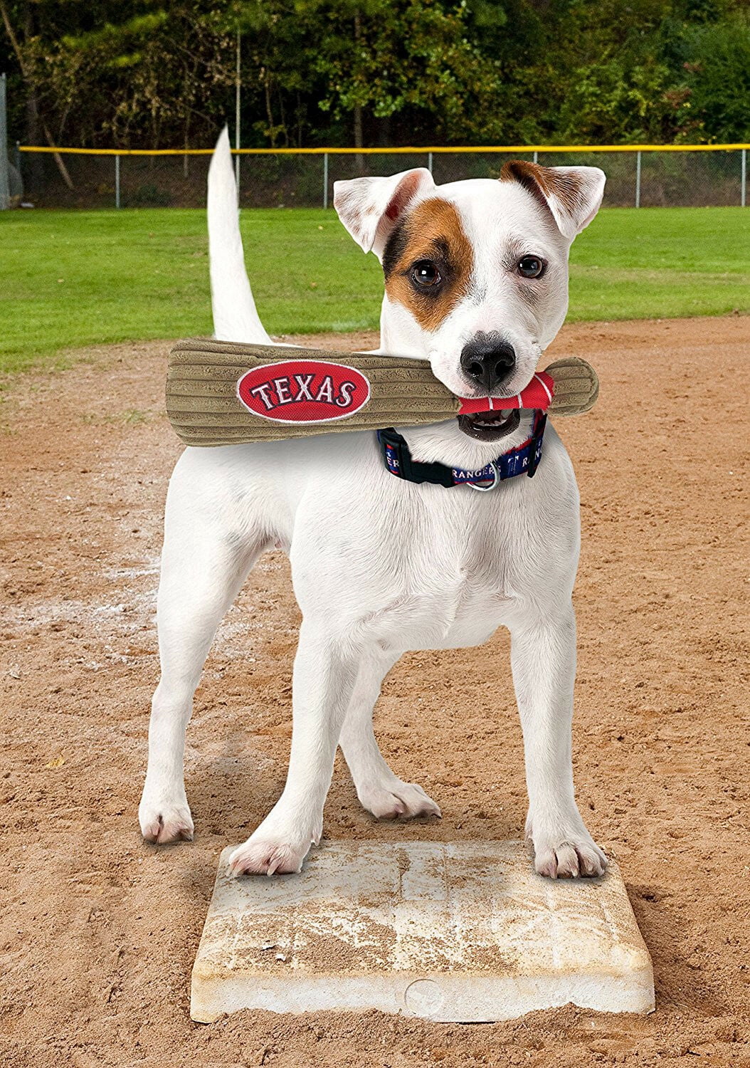 Pets First MLB Texas Rangers BAT TOY for DOGS & CATS. 29 MLB Teams available. - Plush PET TOY with inner SQUEAKER. Officially Licensed Baseball BAT.