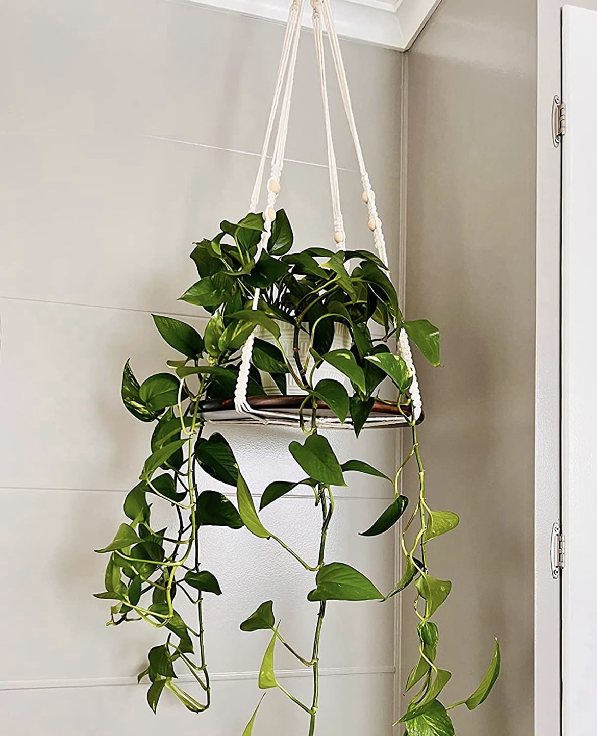 2 Pack Macrame Plant Hanger | Plant Hangers For Inside, Indoor Hanging Shelf For Plants | Plant Hanger, Hanging Planter, No Plant/Pot Included (Beige) (1 Large+ 1 Medium)