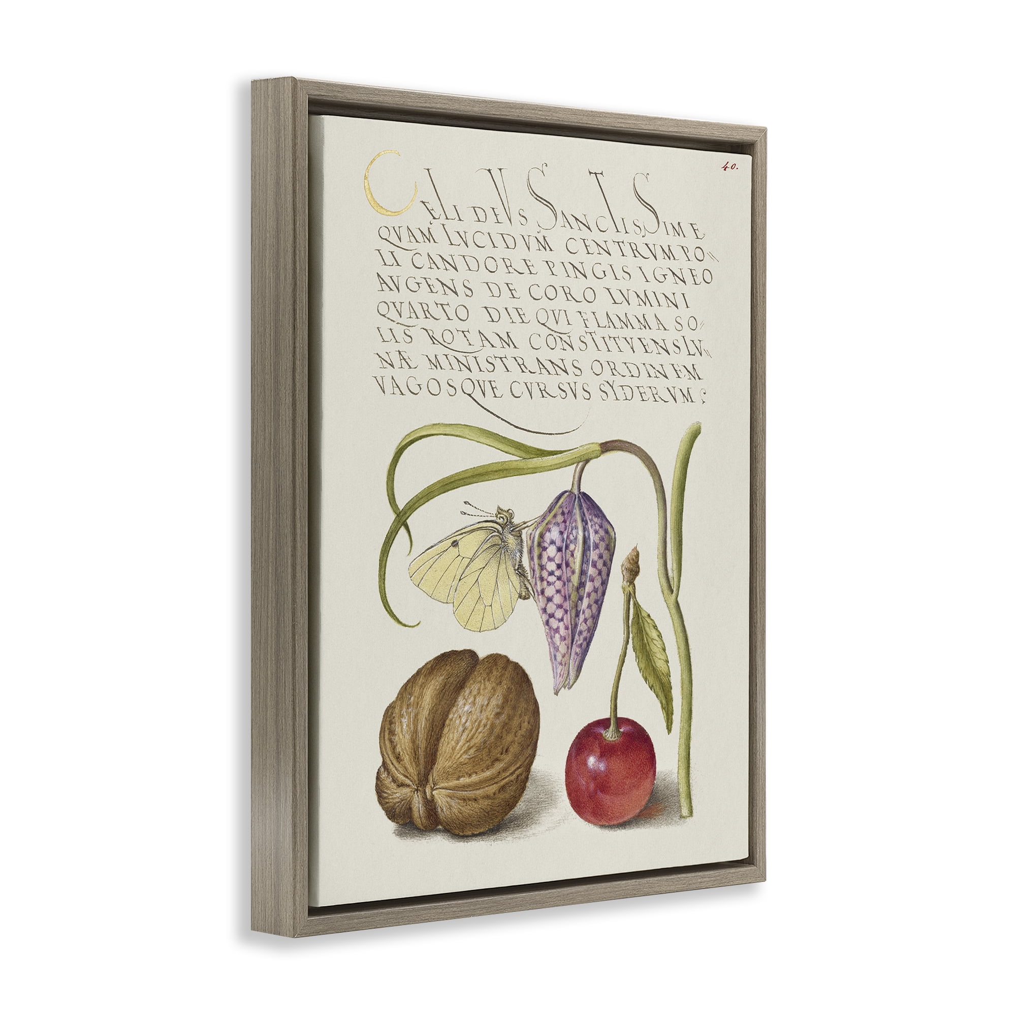 Stupell Industries Woodland Flora Study Text & Numbers Painting Brown Floater Framed Canvas Art Print Wall Art, 17 x 21