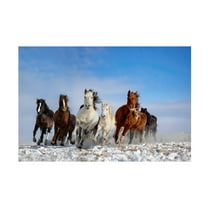 Libby Zhang 'Mongolia Horses' Canvas Art
