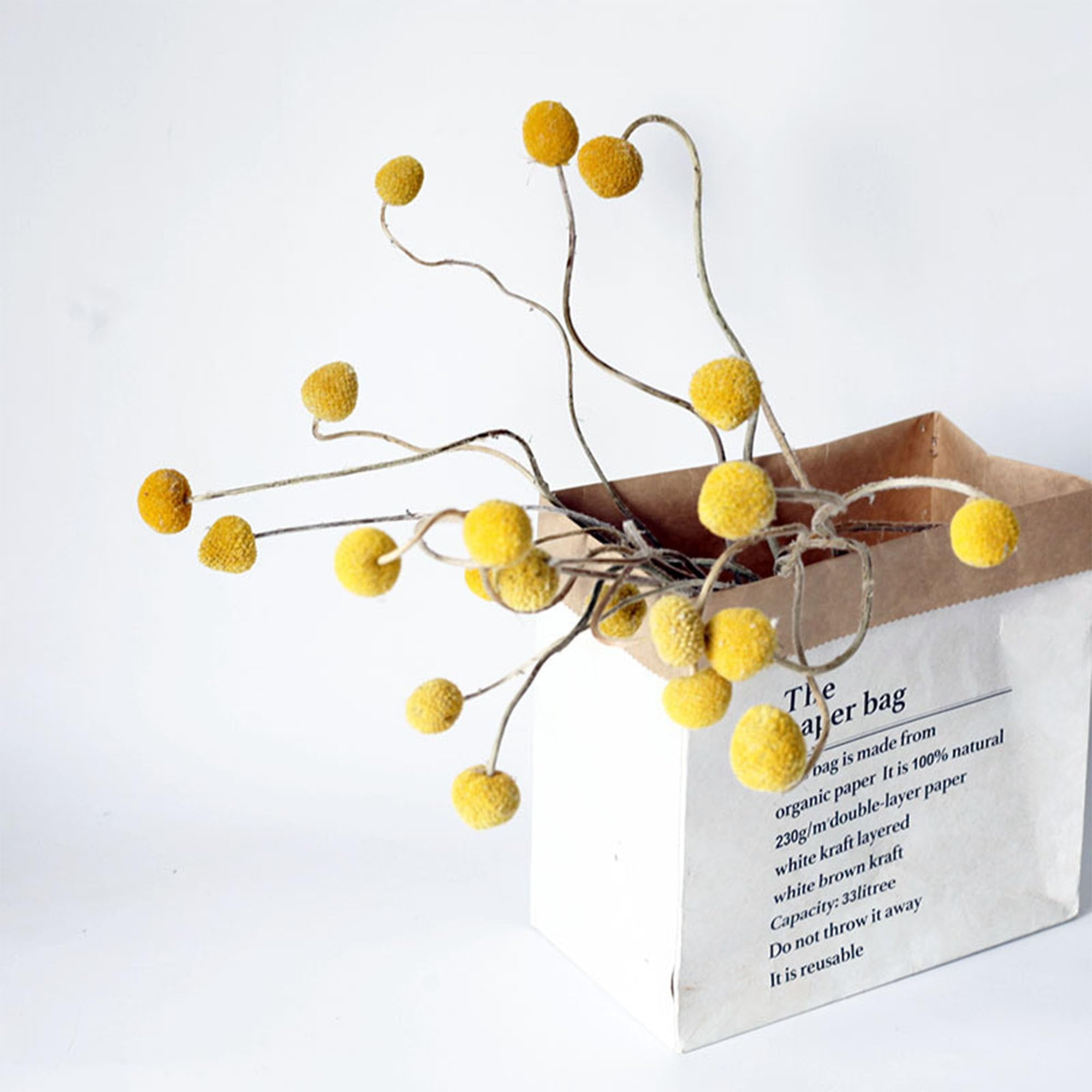 60 Stems Diameter Natural Craspedia Dried Flowers, 16inch Billy Buttons Balls Bouquet Bundles Natural Dried Flowers for DIY Flower Arrangements Home Decor, Yellow