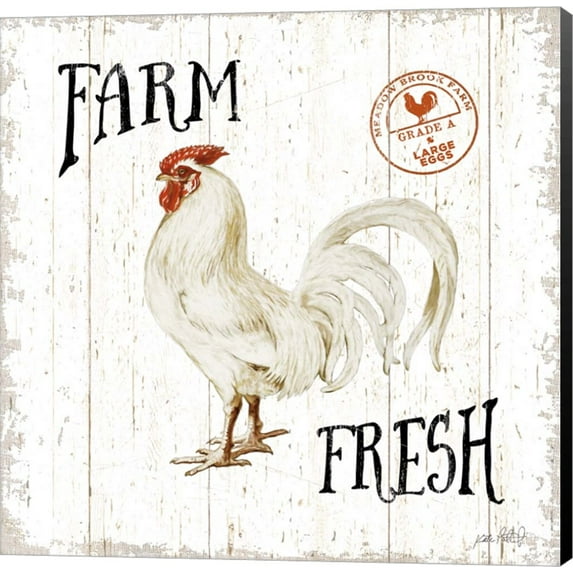 Free Range Fresh III by Katie Pertiet, Canvas Wall Art, 24W x 24H