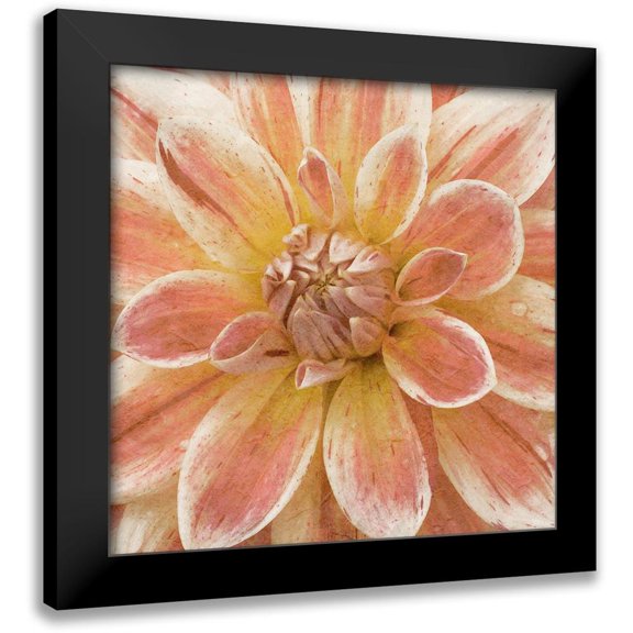 Saunders, Alonzo 12x12 Black Modern Framed Museum Art Print Titled - Wall Flower V