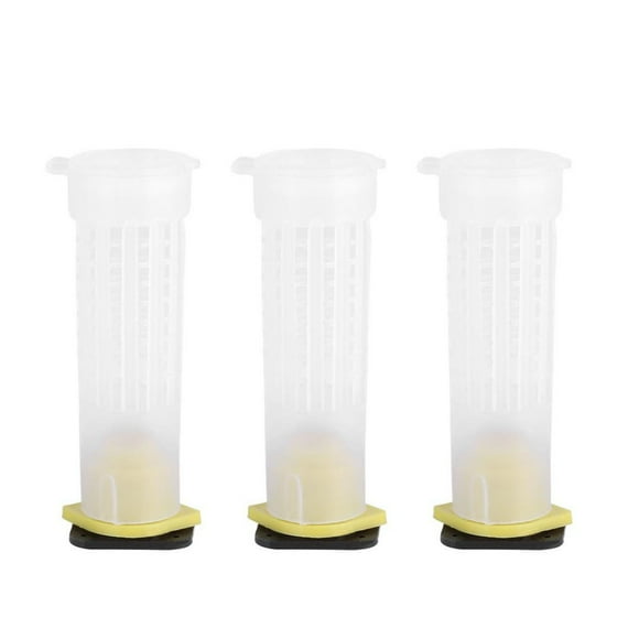 OULII 40Ud Herramienta Apícola Caja Transparente Accesorio Para Cría De Abejas
