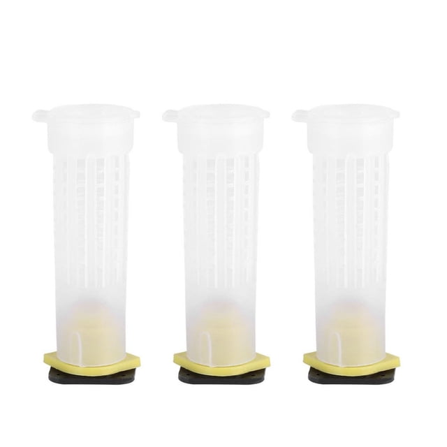 40pcs Beekeeping Accessory Practical Bee Tool with Anti bite Bee Protective Cover for Bee Breeding Box