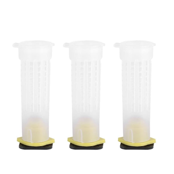 OULII 40Ud Herramienta Apícola Caja Transparente Accesorio Para Cría De Abejas