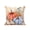Orange, variant on Outdoor Pillows Waterproof, Orange Blue Pumpkins Fall Bedding Throw Pillows with Insert for Couch Sofa Bed, Thanksgiving Sunflower Birds Beige 18x18 Inch Pillowcases Decorative Patio Pillow Set of 2