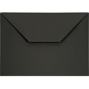 Lion Design-R-Line Poly Envelope, 9-3/8 X 13-Inch, Opaque Charcoal Gray (Black), 1 Envelope (22080-CG)