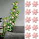 thumbnail image 1 of Clips de Montaje en Pared Autoadhesivos para Plantas, Paquete de 20 Ganchos Colgantes de Resina ABS Durables con Pegatina Fuerte de Acrílico para Enredaderas/Tomates/Gestión de Cables, 1 of 7