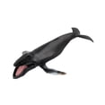thumbnail image 4 of MERIGLARE Simulation Whales Model Figures Simulated Marine Animal Model for Boys Kids D, 4 of 9