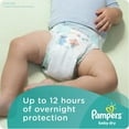 thumbnail image 3 of Pampers Baby Dry Diapers, (Choose Your Size), 3 of 10