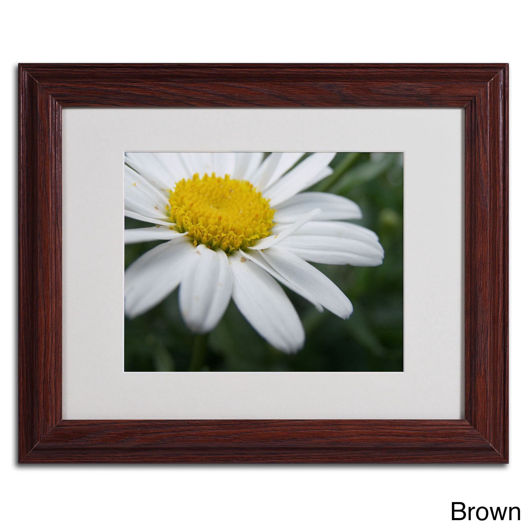 Trademark Fine Art "Simplistic" Canvas Art by Monica Fleet, White Matte, Black Frame