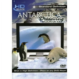 その他 Exotic Saltwater Aquarium Sd [DVD] 中古】Exotic Saltwater Aquarium Sd [DVD]